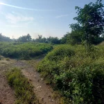 Kondisi tanah Legok Tangerang dengan lingkungan sekitar